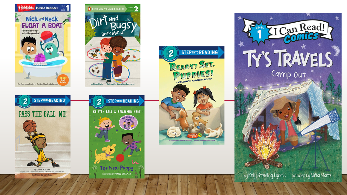 Level Reader Fiction Set C  (Kindergarten - 1st Grade)  6  Books