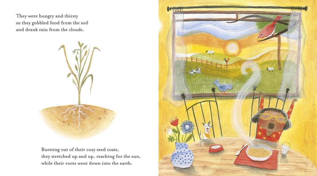 Sun in My Tummy: How the food we eat gives us energy from the sun