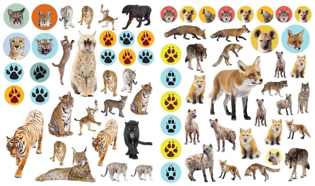 Eyelike Stickers: Wild Animals