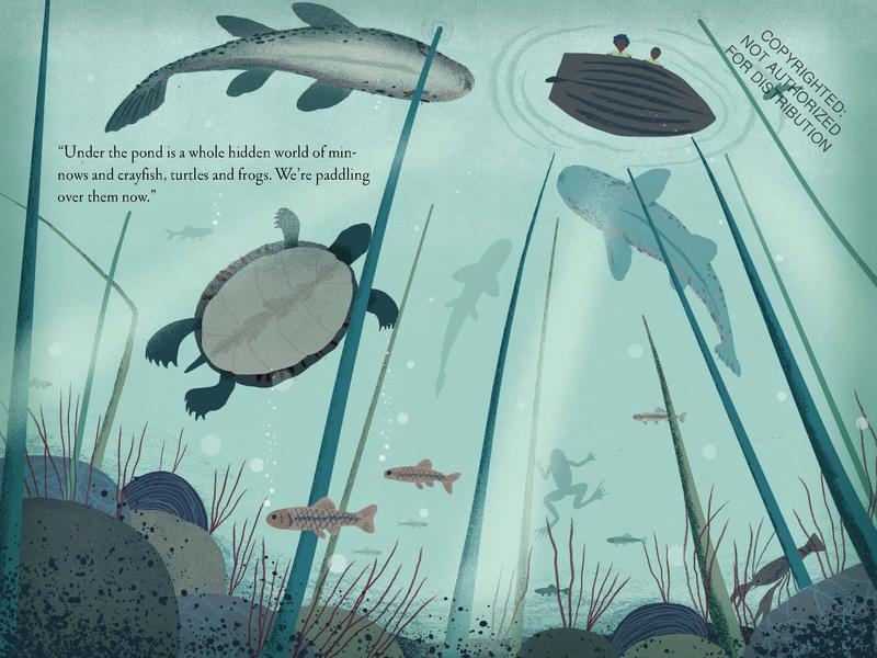 Over and Under the Pond: (Environment and Ecology Books for Kids, Nature Books, Children's Oceanography Books, Animal Books for Kids)