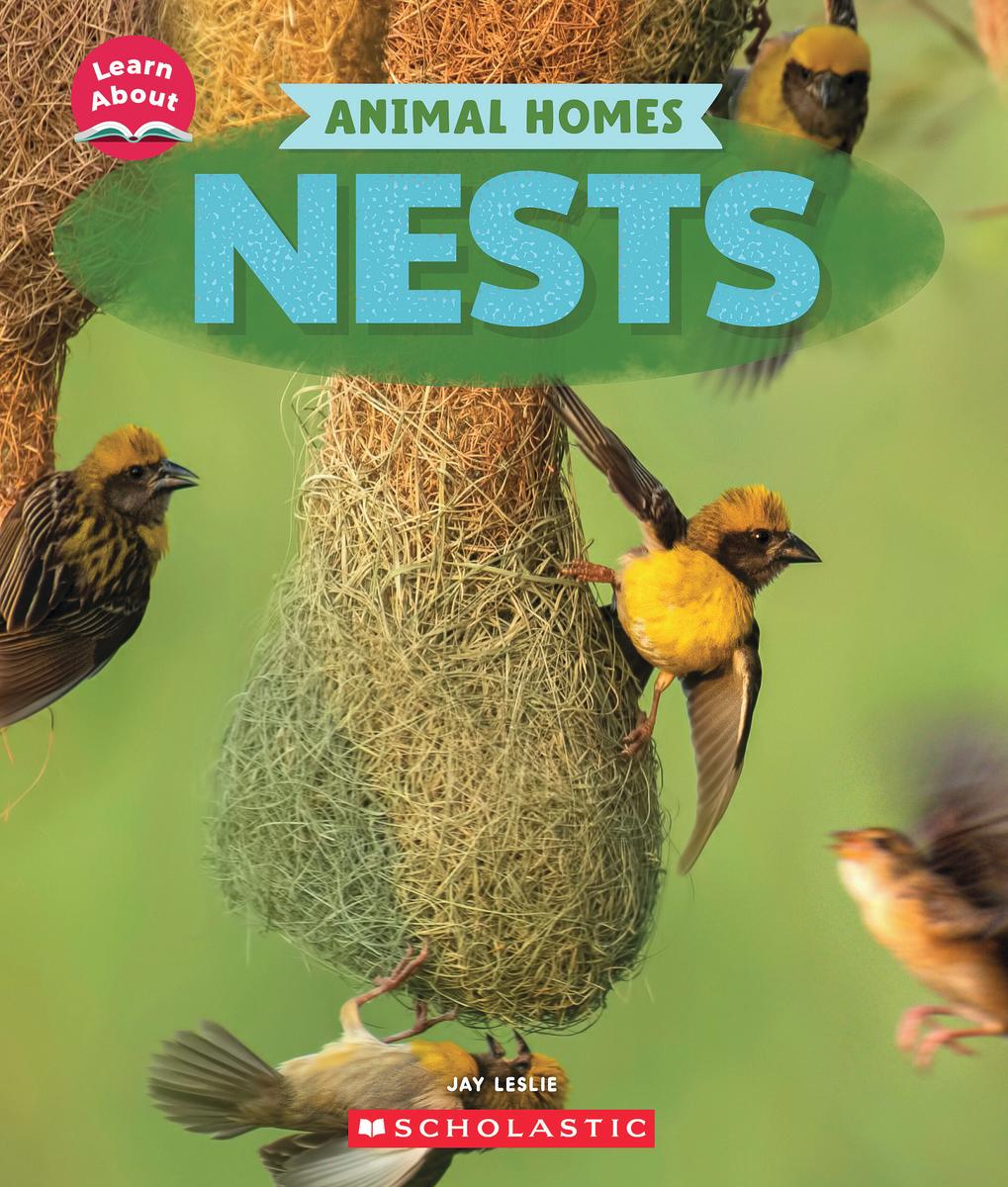 Nests (Learn About: Animal Homes)