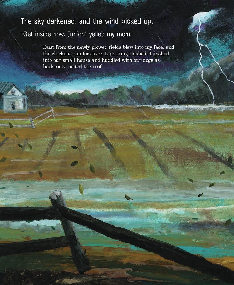 The Library in the Woods