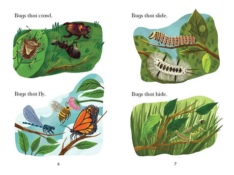 Bug Catchers