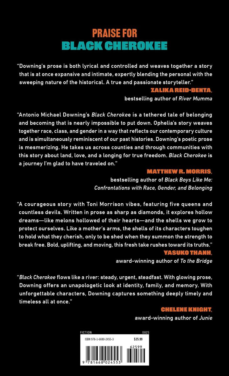 Black Cherokee: A Novel