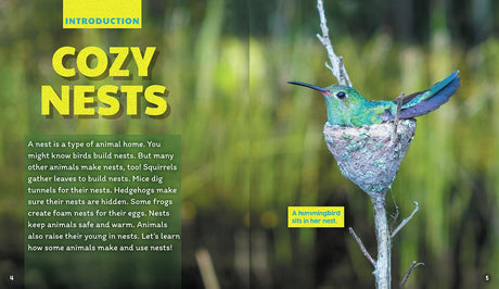 Nests (Learn About: Animal Homes)