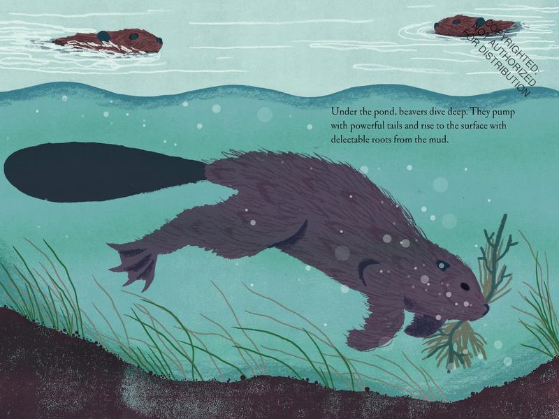 Over and Under the Pond: (Environment and Ecology Books for Kids, Nature Books, Children's Oceanography Books, Animal Books for Kids)