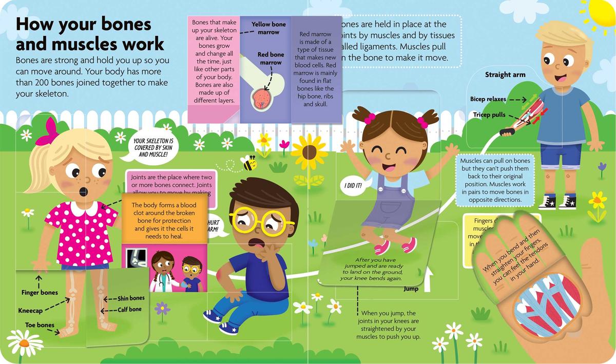 Discover the Human Body: Lift-the-Flap Book: Board Book with Over 50 Flaps to Lift!