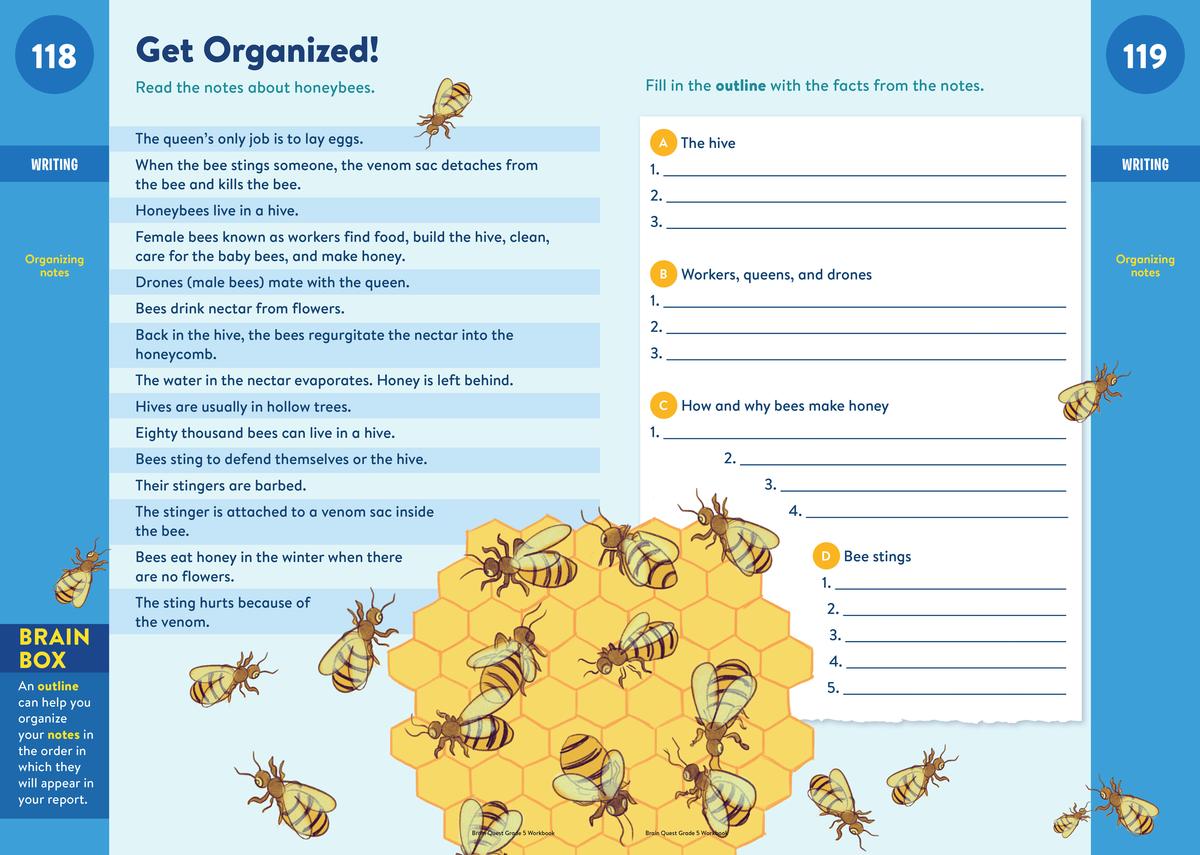 Brain Quest Workbook: 5th Grade Revised Edition
