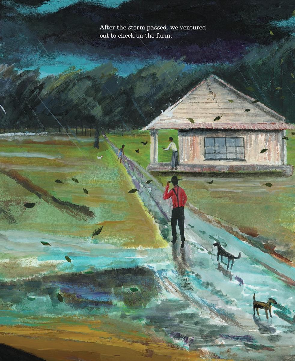 The Library in the Woods