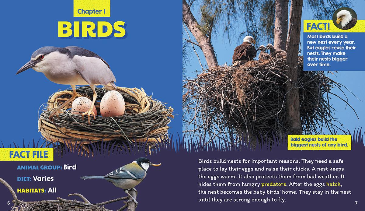 Nests (Learn About: Animal Homes)