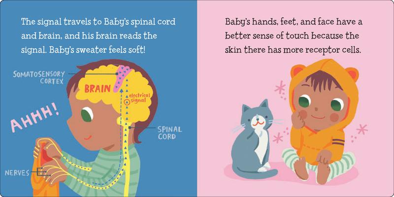 Baby Loves the Five Senses: Touch! ( BABY LOVES SCIENCE series)