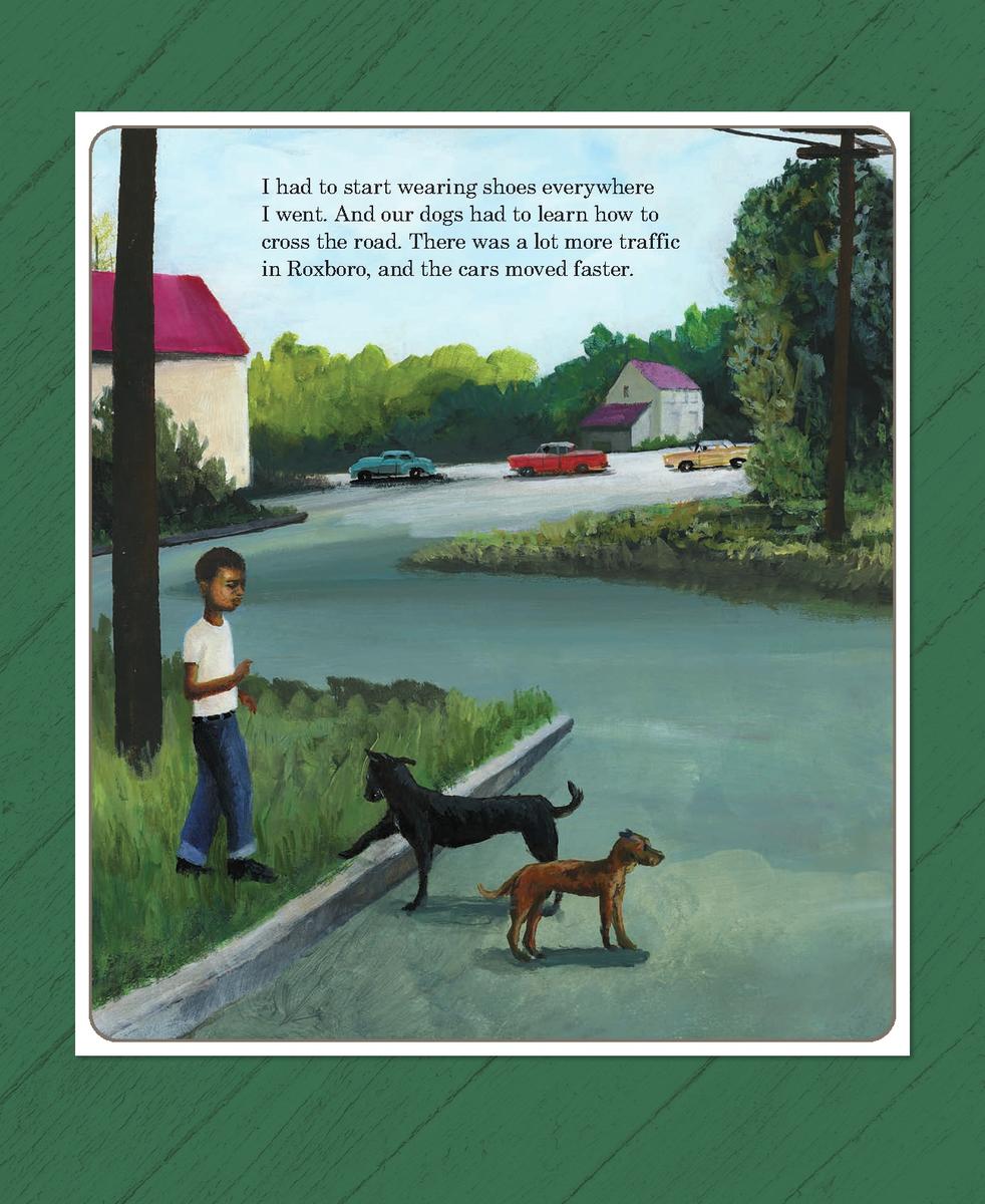 The Library in the Woods