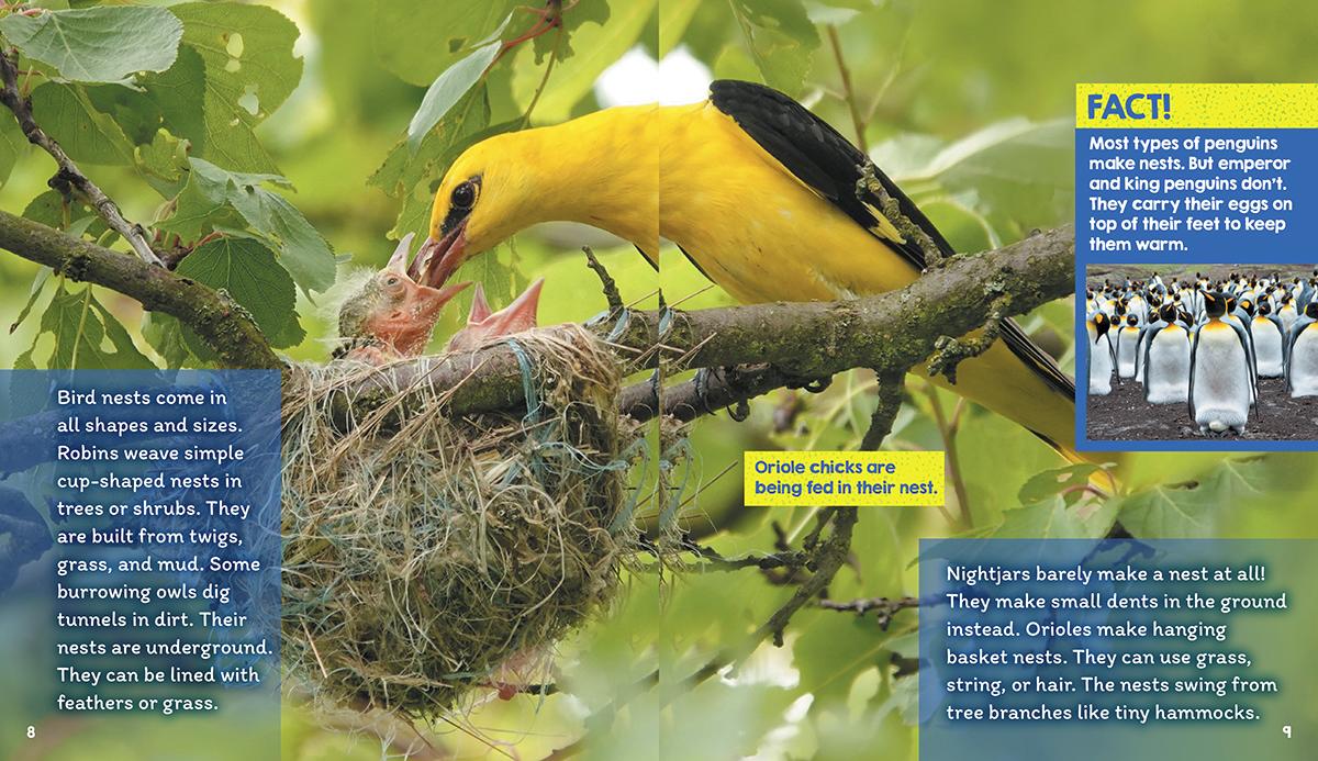 Nests (Learn About: Animal Homes)