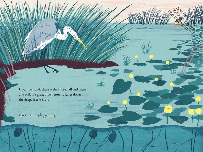Over and Under the Pond: (Environment and Ecology Books for Kids, Nature Books, Children's Oceanography Books, Animal Books for Kids)