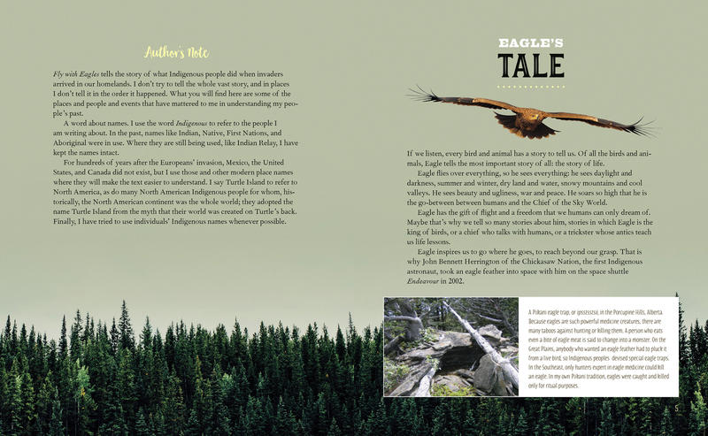 What the Eagle Sees: Indigenous Stories of Rebellion and Renewal