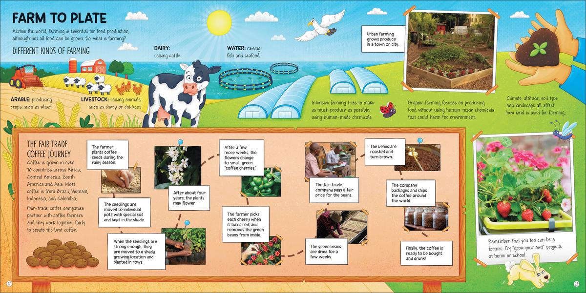 Food Around the World