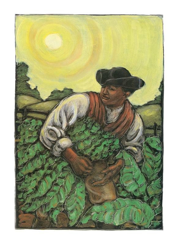 Dear Benjamin Banneker