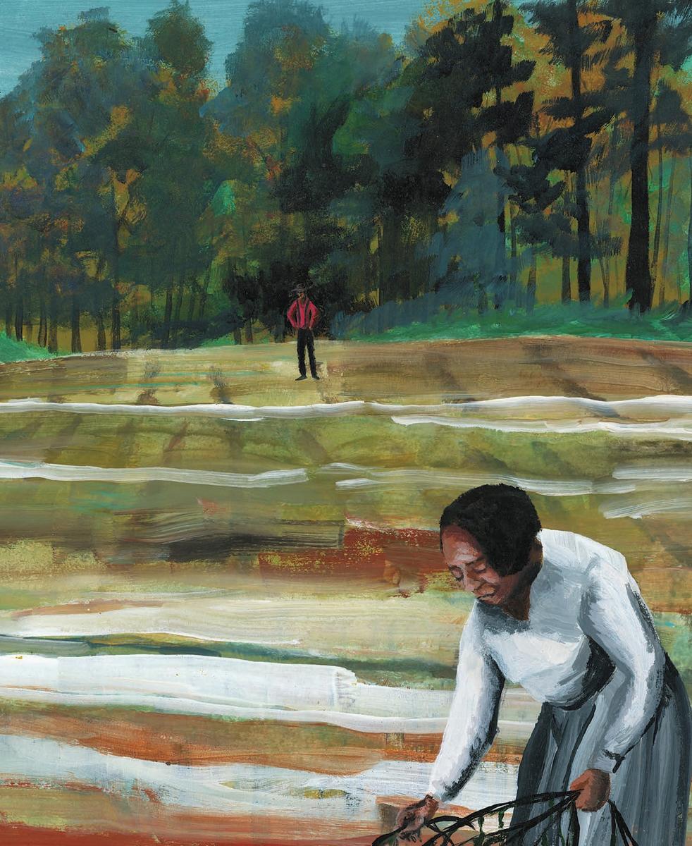 The Library in the Woods