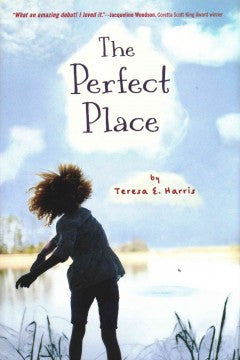 The Perfect Place - EyeSeeMe African American Children's Bookstore
