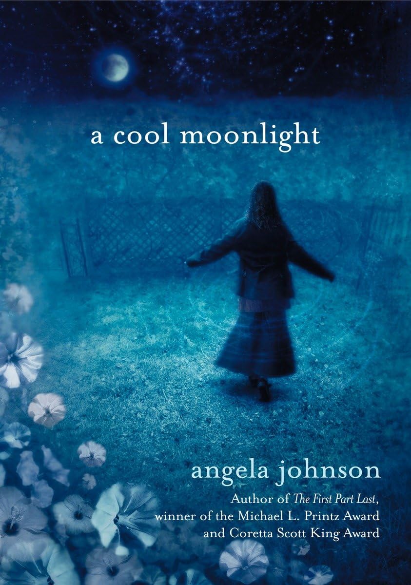 A cool moonlight