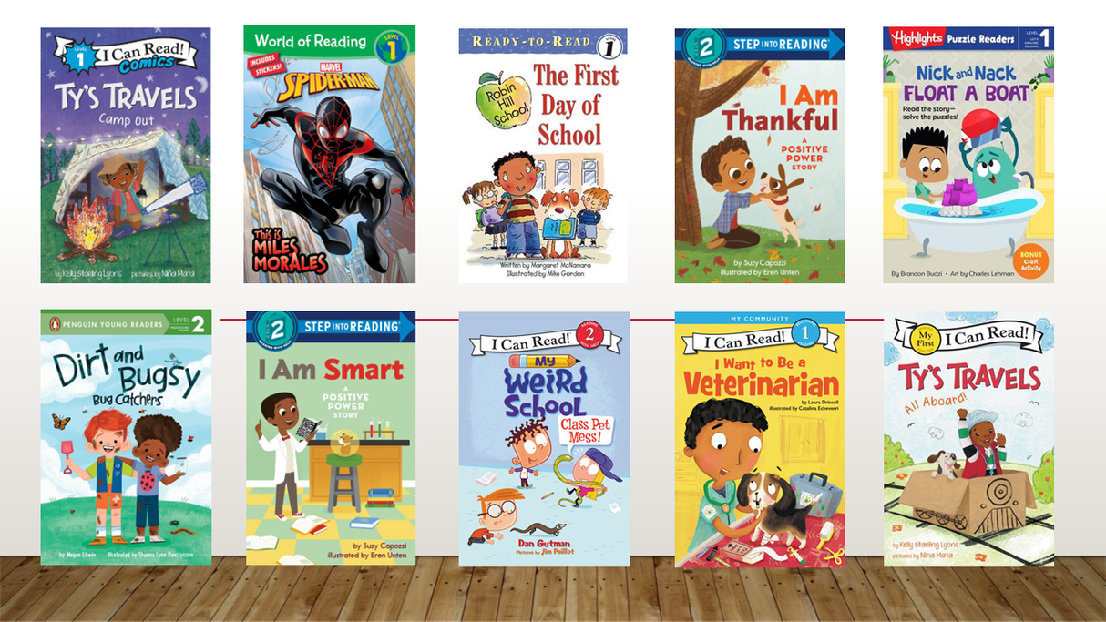 Level Reader Fiction Set D  (Kindergarten - 1st Grade)  10  Books