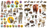 Eyelike Stickers: Wild Animals