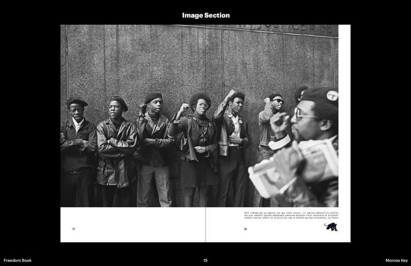 Freedom! The Story of the Black Panther Party