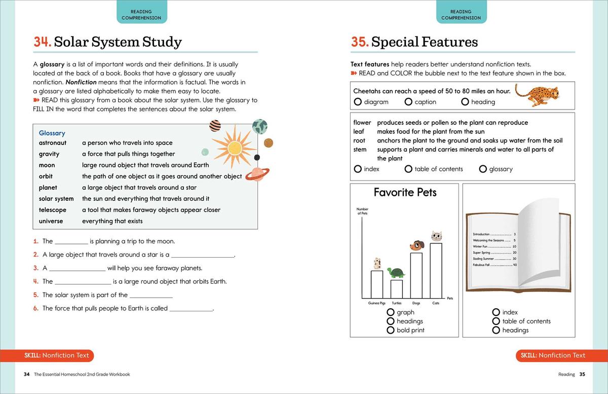 The Essential Homeschool 2nd Grade Workbook