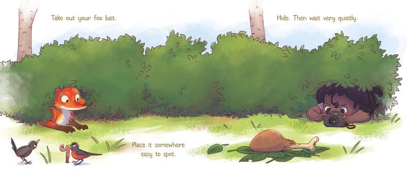 How to Find a Fox