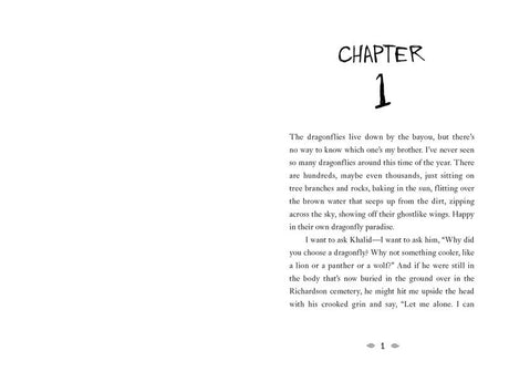 King and the Dragonflies (Scholastic Gold)