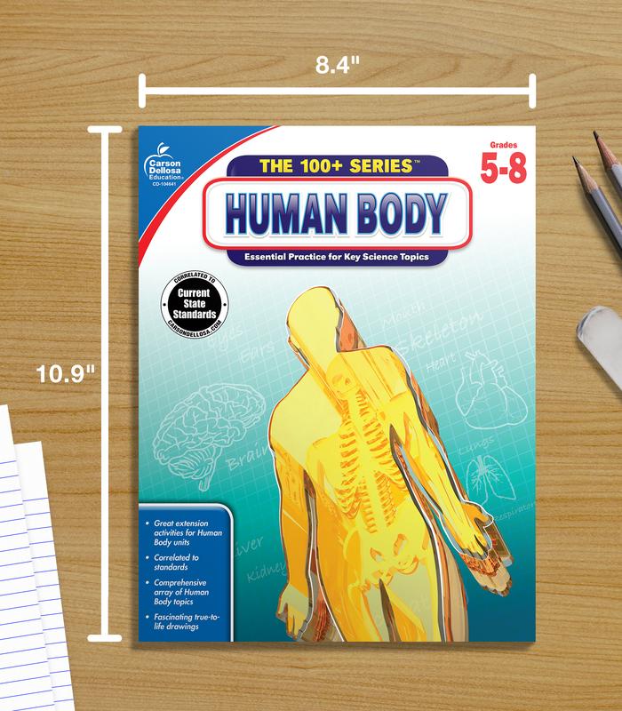 Human Body