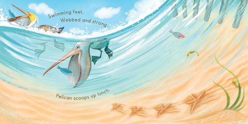 Sandy Feet! Whose Feet?: Footprints at the Shore