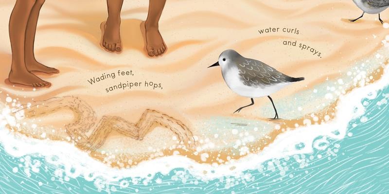 Sandy Feet! Whose Feet?: Footprints at the Shore