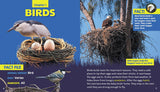 Nests (Learn About: Animal Homes)