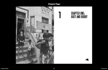 Freedom! The Story of the Black Panther Party