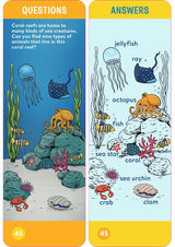 Brain Quest Kindergarten Smart Cards Revised 5th Edition