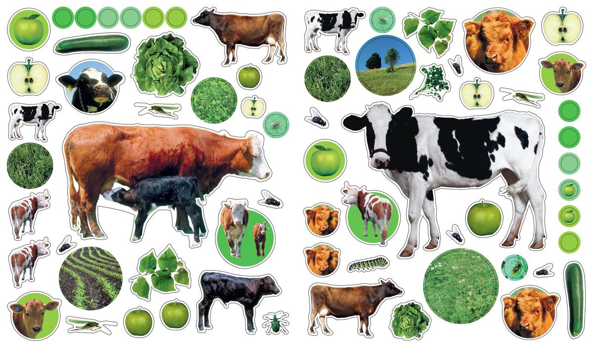 Eyelike Stickers: On the Farm