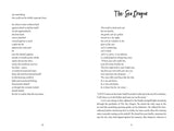The Map That Led to You (A Novel)