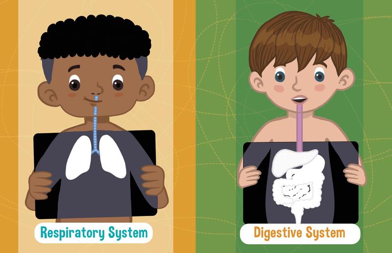 Jumbo Stickers for Little Hands: Human Body: Includes 75 Stickers