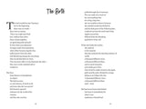 The Map That Led to You (A Novel)