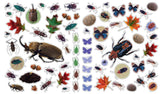 Eyelike Stickers: Bugs