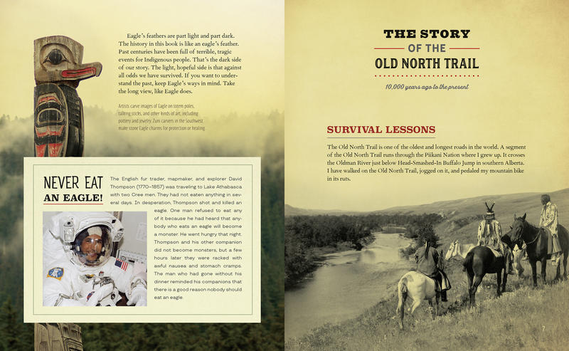 What the Eagle Sees: Indigenous Stories of Rebellion and Renewal