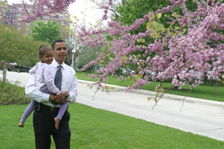 Barack Before Obama: Life Before the Presidency