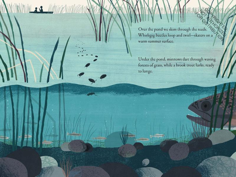 Over and Under the Pond: (Environment and Ecology Books for Kids, Nature Books, Children's Oceanography Books, Animal Books for Kids)