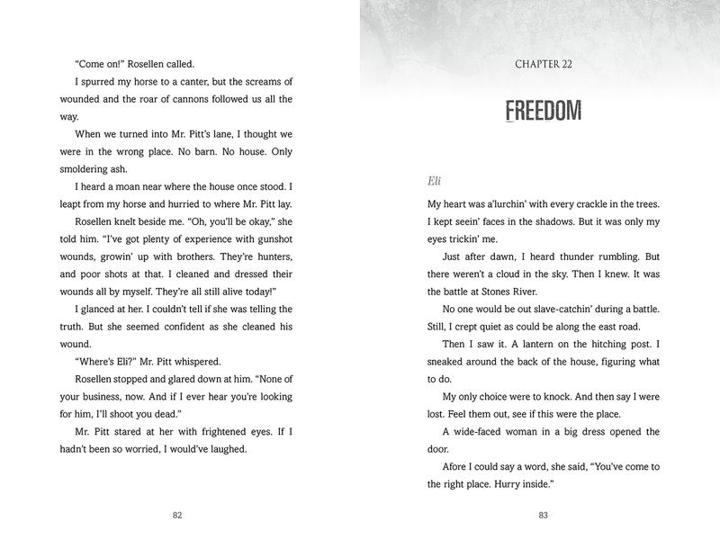 The Songs of Stones River: A Civil War Novel