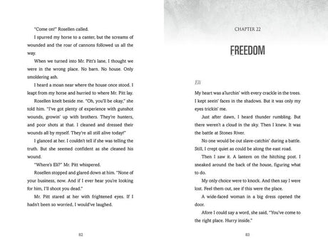 The Songs of Stones River: A Civil War Novel