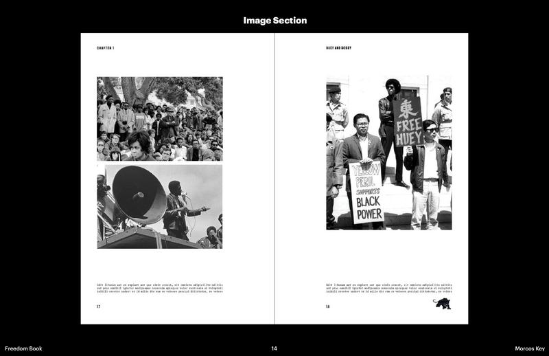 Freedom! The Story of the Black Panther Party