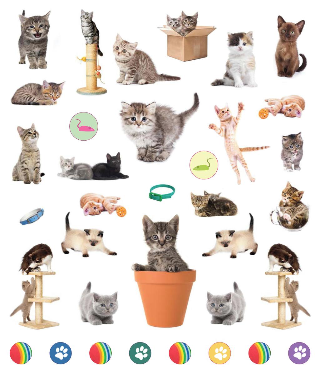 Eyelike Stickers: Kittens