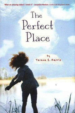 The Perfect Place - EyeSeeMe African American Children's Bookstore
