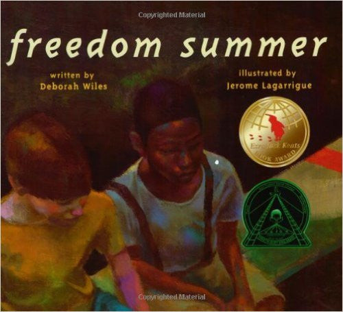 Freedom Summer - EyeSeeMe African American Children's Bookstore
